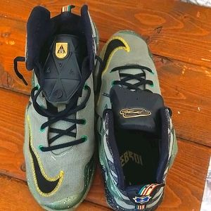 Authentic LeBron James Nike Basketball hightops.